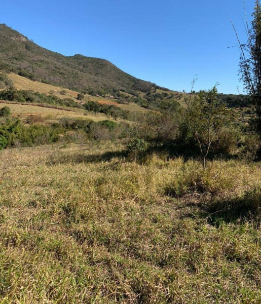 Terreno à venda Centro com 7675m² e 1 quarto por R$ 280.000 - 634889883-9.jpg