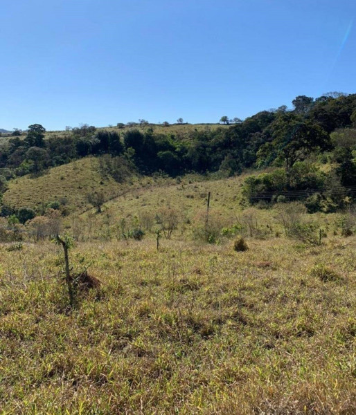 Terreno à venda Centro com 7675m² e 1 quarto por R$ 280.000 - 99935567-8.jpg