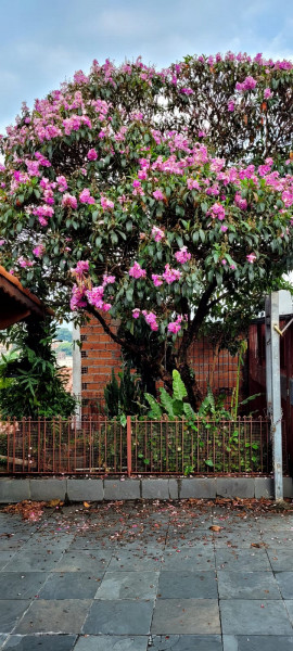 Casa à venda Jardim Carapicuíba com 600m² e 3 quartos por R$ 750.000 - 487664534-whatsapp-image-2022-09-19-at-17.jpeg