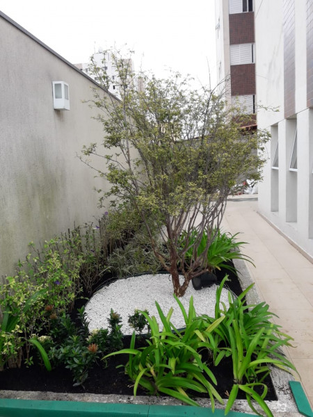 Apartamento à venda Vila Mussolini com 77m² e 2 quartos por R$ 499.000 - 1247417723-whatsapp-image-2021-07-26-at-12.jpeg