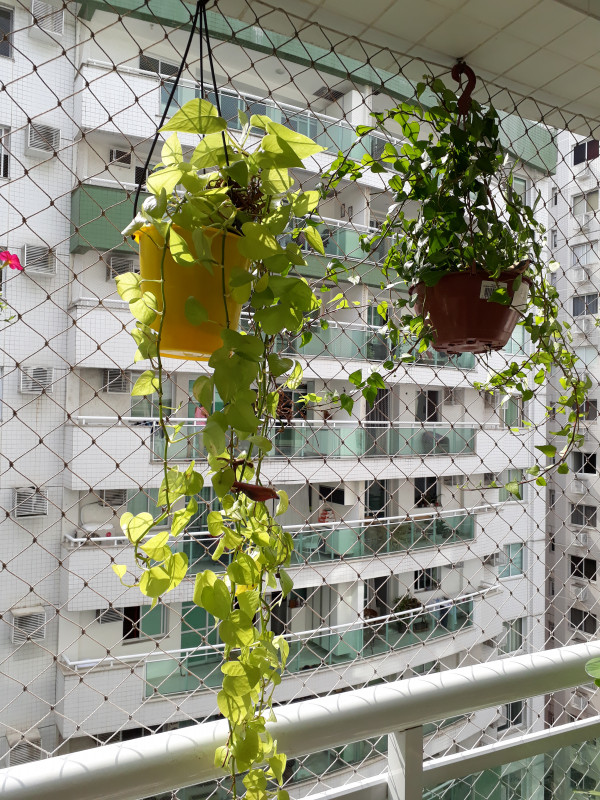 Apartamento à venda Jardim Vinte e Cinco de Agosto com 94m² e 3 quartos por R$ 699.000 - 1838578253-20181107-153941.jpg