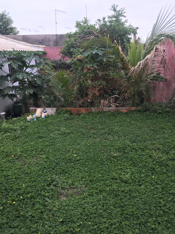 Casa à venda Vila Redenção com 360m² e 9 quartos por R$ 880.000 - 38065262-9cbbf09f-10b1-4df2-b51e-a1f33080c211.jpeg