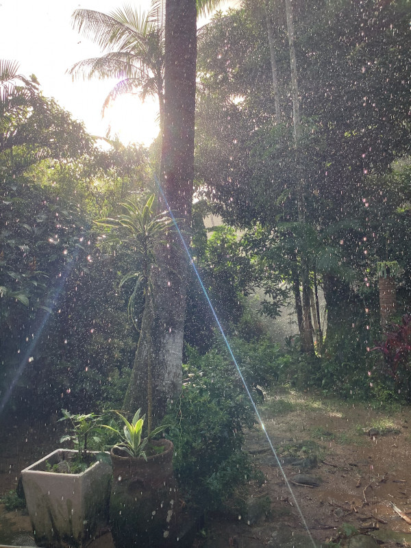 Terreno à venda Praia do Paúba com 24000m² e 1 quarto por R$ 1.600 - 2086725773-c2e342a9-aab7-4343-8cde-e7616d022ac0.jpeg