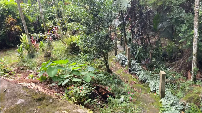 Terreno à venda Praia do Paúba com 24000m² e 1 quarto por R$ 1.600 - 737086089-794f074a-c791-4bef-a4f1-28bcee10ea6b.jpeg
