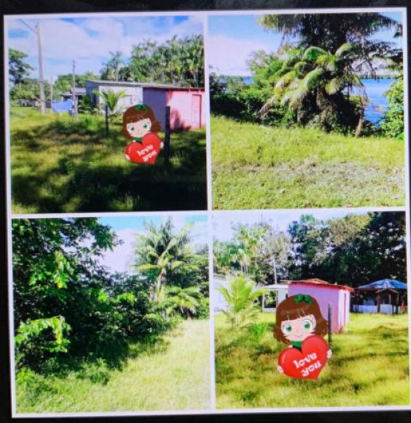 Terreno à venda Centro com 104m² e 1 quarto por R$ 100.000 - 1574850725-whatsapp-image-2022-11-03-at-11.jpeg