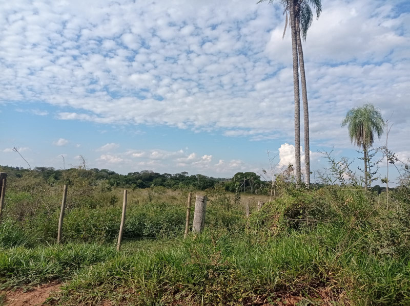 Sítio à venda Centro com 420000m² e 5 quartos por R$ 2.300.000 - 1245743124-whatsapp-image-2022-11-04-at-18.jpeg