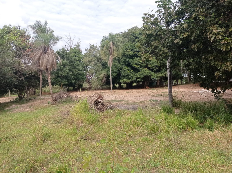 Sítio à venda Centro com 420000m² e 5 quartos por R$ 2.300.000 - 1524231098-whatsapp-image-2022-11-04-at-18.jpeg