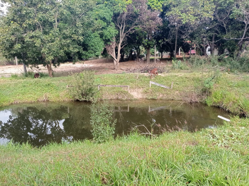 Sítio à venda Centro com 420000m² e 5 quartos por R$ 2.300.000 - 1644893291-whatsapp-image-2022-11-04-at-18.jpeg