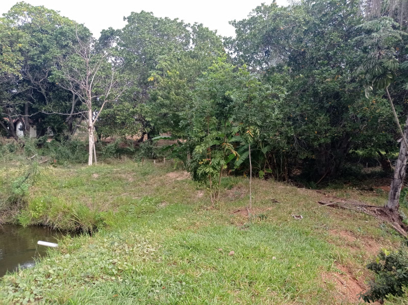 Sítio à venda Centro com 420000m² e 5 quartos por R$ 2.300.000 - 915674545-whatsapp-image-2022-11-04-at-18.jpeg