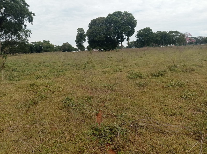 Sítio à venda Centro com 420000m² e 5 quartos por R$ 2.300.000 - 974743096-whatsapp-image-2022-11-04-at-18.jpeg