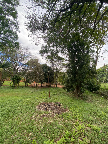 Terreno à venda Placidolândia com 1523m² e 1 quarto por R$ 295.000 - 201245623-97486303-39e3-434c-a577-2209175bc887.jpeg