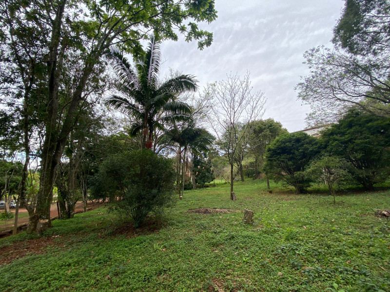 Terreno à venda Placidolândia com 1523m² e 1 quarto por R$ 295.000 - 516165728-5c6f4824-fc64-4b49-84f1-c64810be71f3.jpeg
