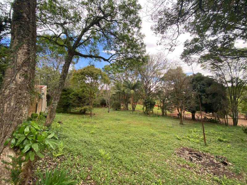 Terreno à venda Placidolândia com 1523m² e 1 quarto por R$ 295.000 - 917572345-e9352e71-eb53-4a37-81e8-ff45316d2988.jpeg