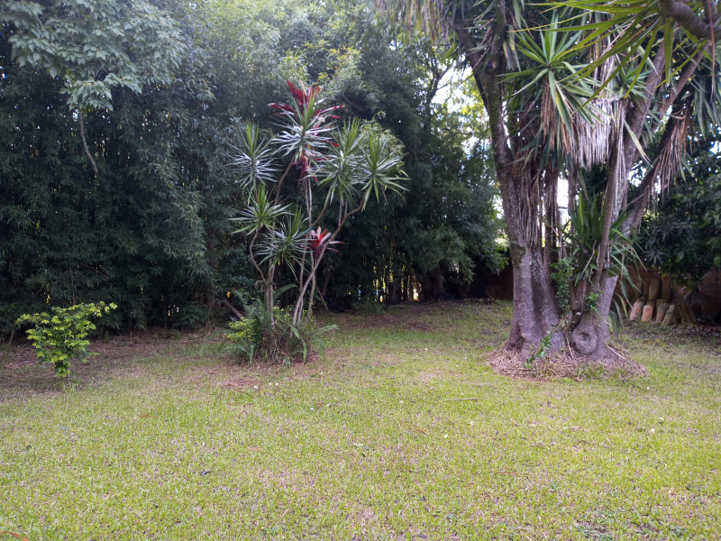 Casa à venda Jardim América com 1000m² e 4 quartos por R$ 1.270.000 - 1814024050-inbound2763243622137572108.jpg