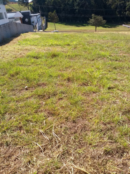 Terreno à venda Residencial Villaggio Paradiso com 1000m² e 1 quarto por R$ 599.000 - 980432547-img-20220606-wa0020.jpg