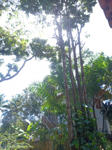 Casa à venda CENTRO com 590m² e 5 quartos por R$ 1.800.000 - 1998221814-20220829-101018989.jpg