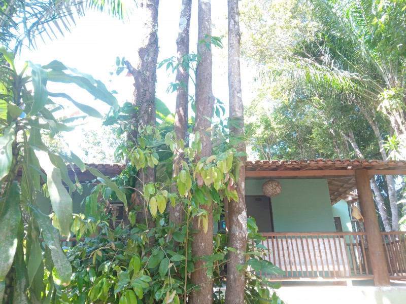 Casa à venda CENTRO com 590m² e 5 quartos por R$ 1.800.000 - 363690426-20220829-100713664.jpg