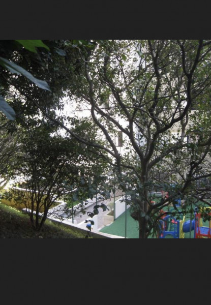 Apartamento à venda Sumaré com 50m² e 2 quartos por R$ 540.000 - 1206334981-61da7468-bc5b-48fb-aa0c-3b814b9b9a62.jpeg