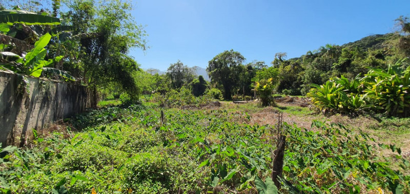 Terreno à venda Praia de Camburi com 12000m² e 1 quarto por R$ 12.000.000 - 655266643-whatsapp-image-2022-11-03-at-19.jpeg