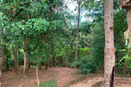 Casa de condomínio à venda Parque Frondoso com 175m² - 4 dormitórios -  vagas - R$ 920.000 - 1604855795-screenshot-20230605-155310-740.png