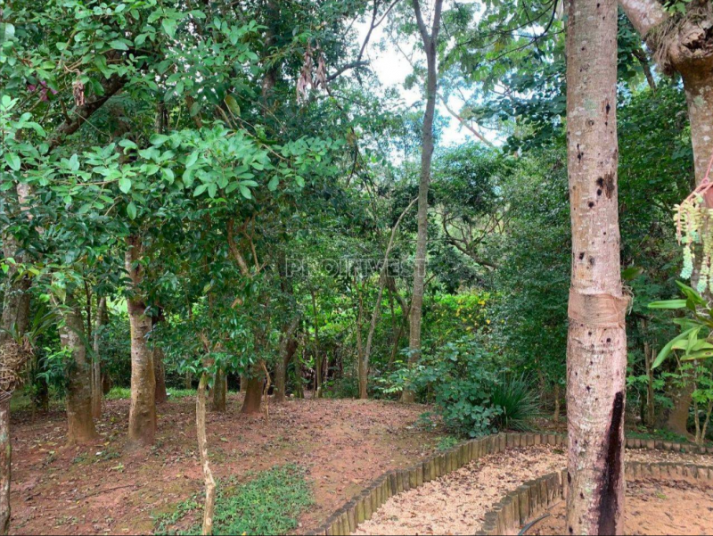 Casa de condomínio à venda Parque Frondoso com 175m² e 4 quartos por R$ 920.000 - 1604855795-screenshot-20230605-155310-740.png