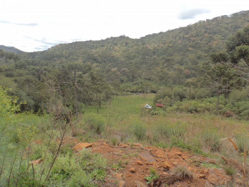 Sítio à venda Centro com 380000m² e 1 quarto por R$ 1.350.000 - 1115696825-dsc01950.JPG