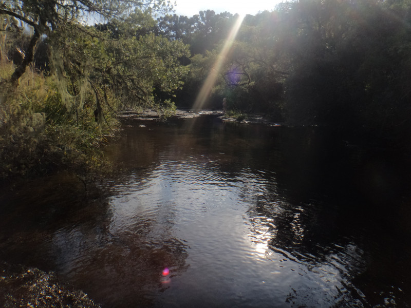 Sítio à venda Centro com 380000m² e 1 quarto por R$ 1.350.000 - 1126557709-dsc09628.JPG