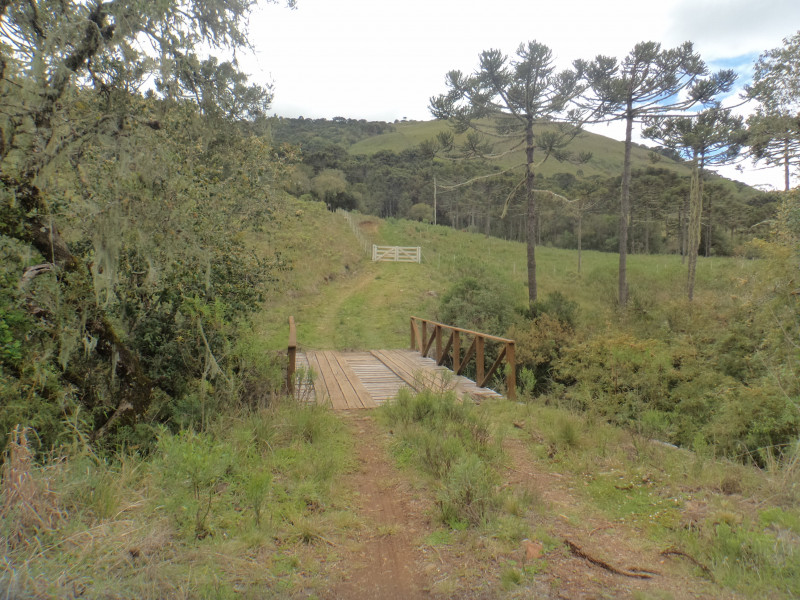 Sítio à venda Centro com 380000m² e 1 quarto por R$ 1.350.000 - 1127978129-dsc01867.JPG