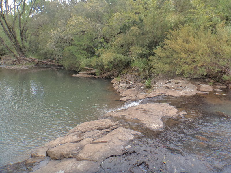 Sítio à venda Centro com 380000m² e 1 quarto por R$ 1.350.000 - 1328791232-dsc01900.JPG