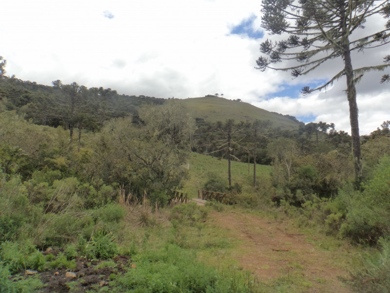 Sítio à venda Centro com 380000m² e 1 quarto por R$ 1.350.000 - 1380974170-dsc01862.JPG