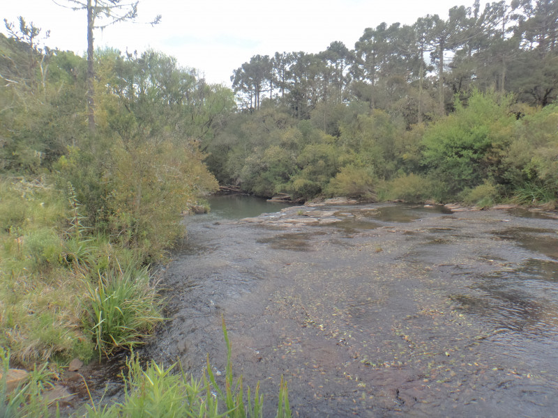 Sítio à venda Centro com 380000m² e 1 quarto por R$ 1.350.000 - 1479328299-dsc01891.JPG