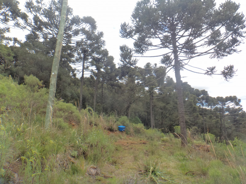 Sítio à venda Centro com 380000m² e 1 quarto por R$ 1.350.000 - 1526391180-dsc01948.JPG