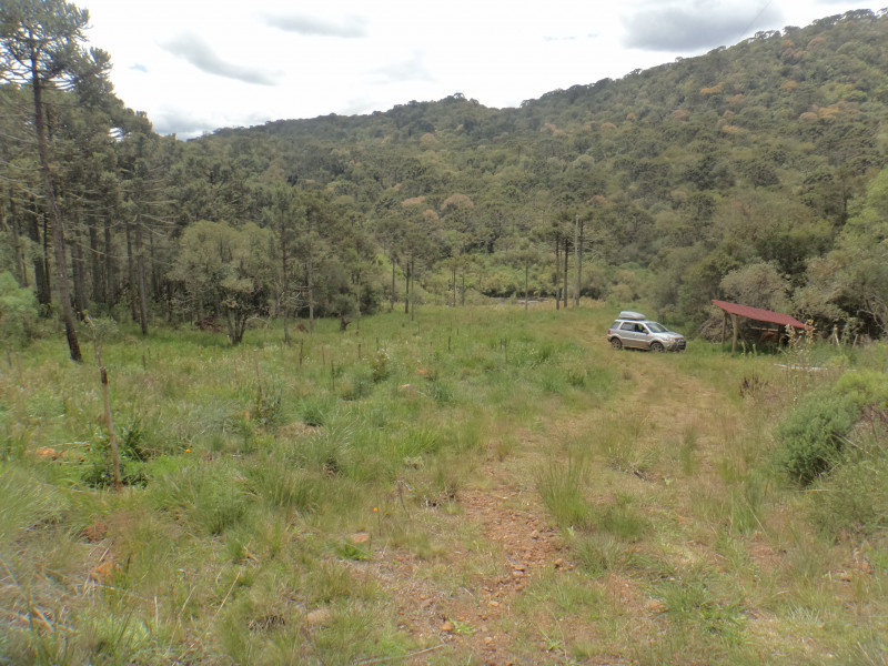 Sítio à venda Centro com 380000m² e 1 quarto por R$ 1.350.000 - 161802807-dsc01942.JPG