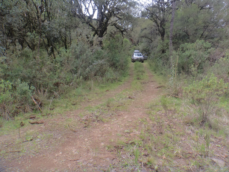 Sítio à venda Centro com 380000m² e 1 quarto por R$ 1.350.000 - 1687354284-dsc01859.JPG