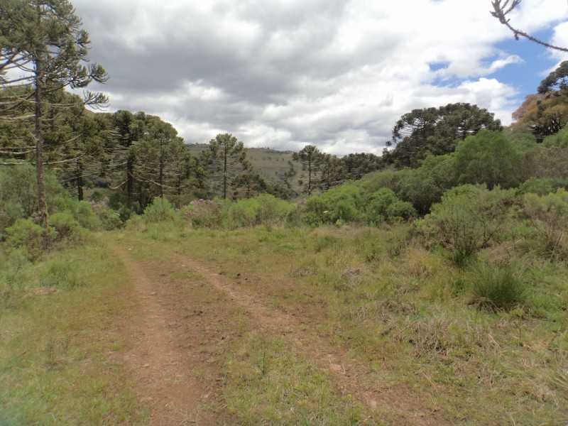 Sítio à venda Centro com 380000m² e 1 quarto por R$ 1.350.000 - 1727586540-dsc01837.JPG