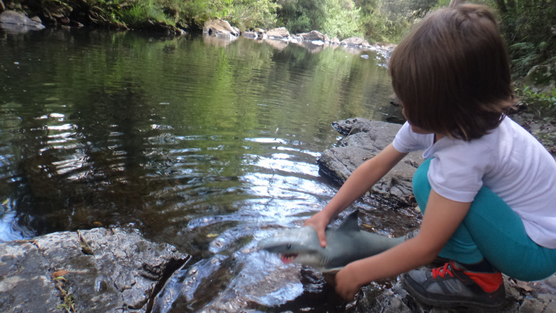 Sítio à venda Centro com 380000m² e 1 quarto por R$ 1.350.000 - 1750865083-dsc00609.JPG