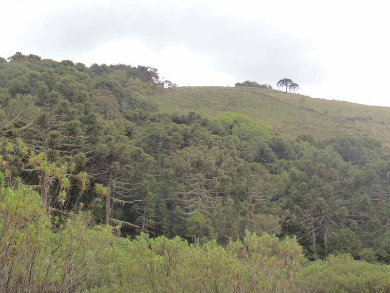 Sítio à venda Centro com 380000m² e 1 quarto por R$ 1.350.000 - 1761973125-dsc01992.JPG