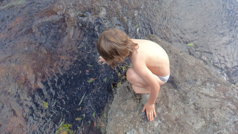 Sítio à venda Centro com 380000m² e 1 quarto por R$ 1.350.000 - 1768785017-dsc09967.JPG