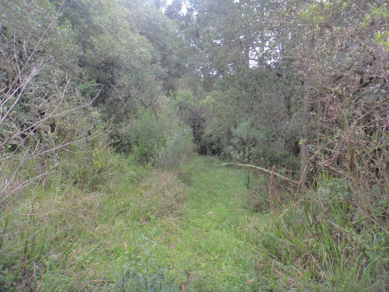 Sítio à venda Centro com 380000m² e 1 quarto por R$ 1.350.000 - 1835047875-dsc01976.JPG