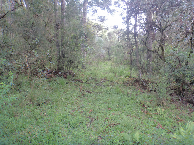 Sítio à venda Centro com 380000m² e 1 quarto por R$ 1.350.000 - 2024899823-dsc01981.JPG