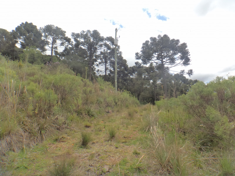 Sítio à venda Centro com 380000m² e 1 quarto por R$ 1.350.000 - 2042590603-dsc01947.JPG