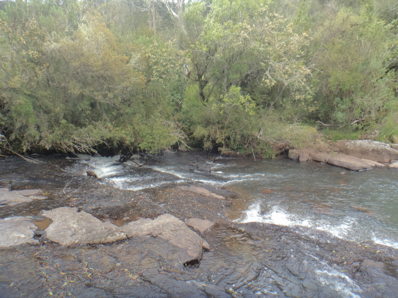 Sítio à venda Centro com 380000m² e 1 quarto por R$ 1.350.000 - 2104580891-dsc01898.JPG