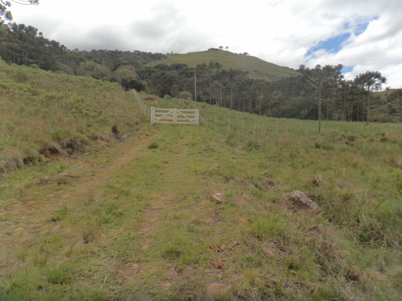 Sítio à venda Centro com 380000m² e 1 quarto por R$ 1.350.000 - 2109825751-dsc01878.JPG