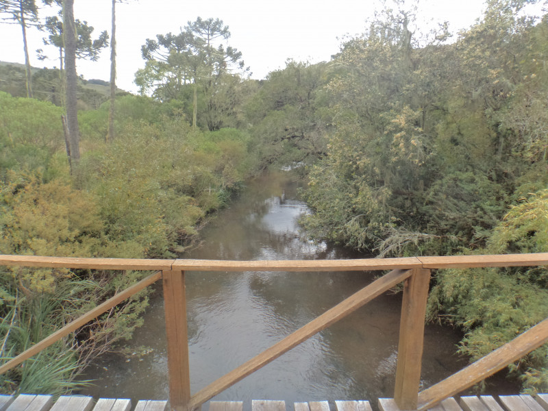 Sítio à venda Centro com 380000m² e 1 quarto por R$ 1.350.000 - 298042030-dsc01870.JPG