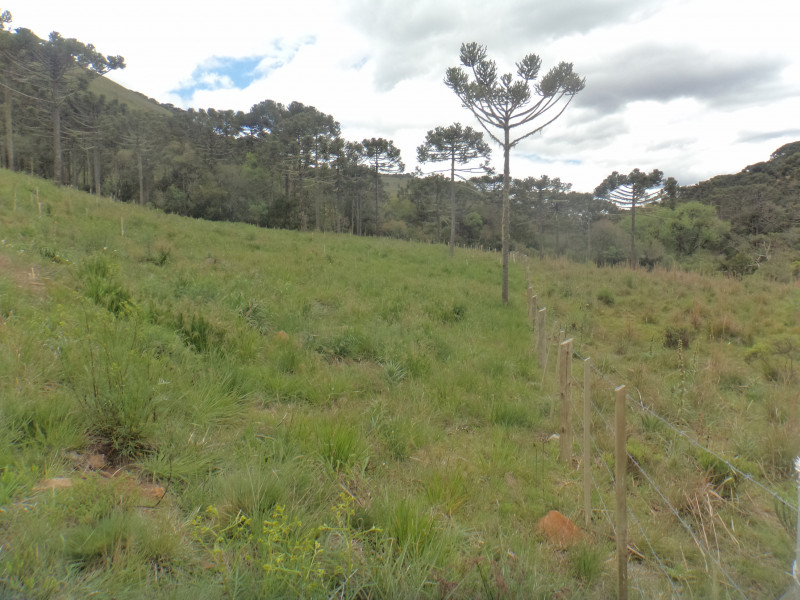 Sítio à venda Centro com 380000m² e 1 quarto por R$ 1.350.000 - 470801416-dsc01881.JPG