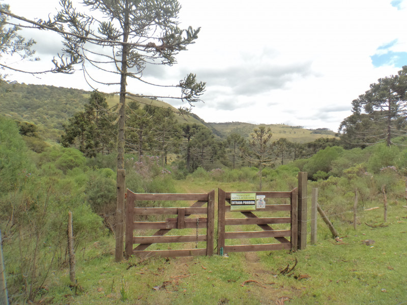 Sítio à venda Centro com 380000m² e 1 quarto por R$ 1.350.000 - 492936838-dsc01835.JPG