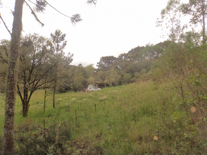 Sítio à venda Centro com 380000m² e 1 quarto por R$ 1.350.000 - 532057628-dsc02013.JPG