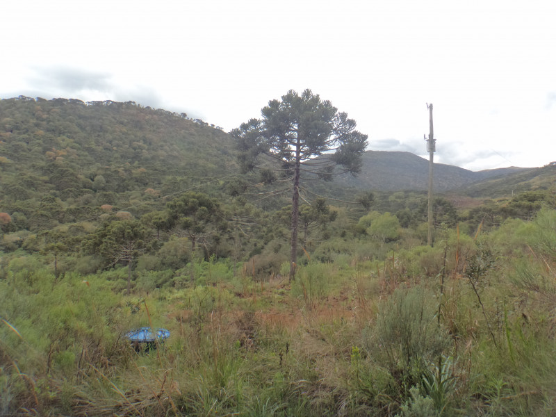 Sítio à venda Centro com 380000m² e 1 quarto por R$ 1.350.000 - 608638750-dsc02005.JPG