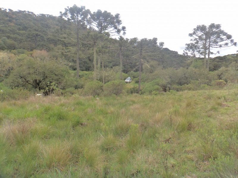 Sítio à venda Centro com 380000m² e 1 quarto por R$ 1.350.000 - 637886806-dsc01917.JPG