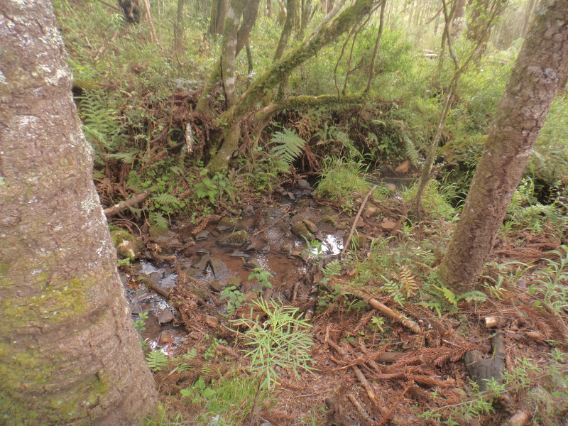 Sítio à venda Centro com 380000m² e 1 quarto por R$ 1.350.000 - 697296968-dsc02010.JPG